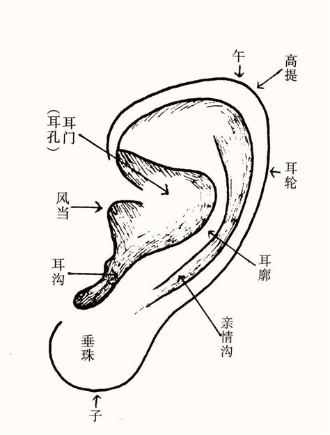 耳相分析